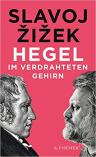 Umschlagfoto, Buchkritik, Slavoj Žižek, Hegel im verdrahteten Gehirn , InKulturA 