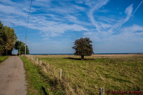 landschaft_082