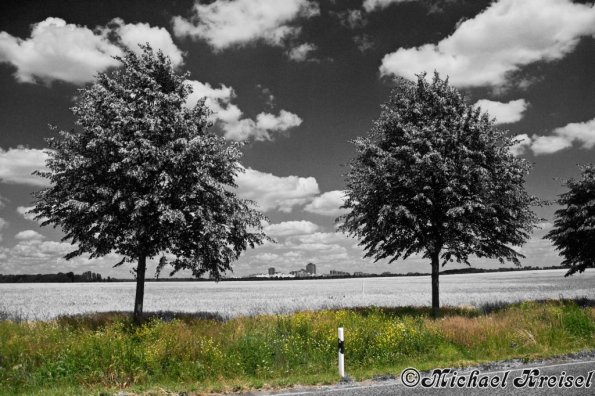 landschaft_090