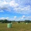 landschaft_192