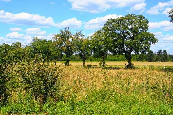 landschaft_190