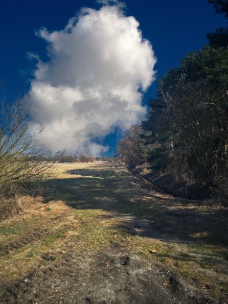 landschaft_170