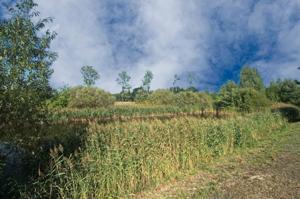 landschaft_137