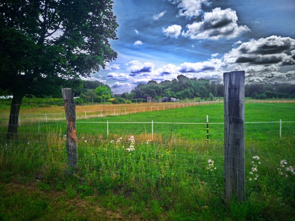 landschaft_128