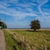 landschaft_082