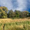 landschaft_133