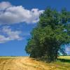 landschaft_197
