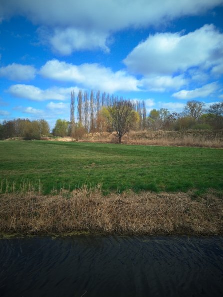 landschaft_173