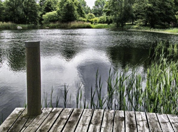 landschaft_058