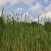 landschaft_002