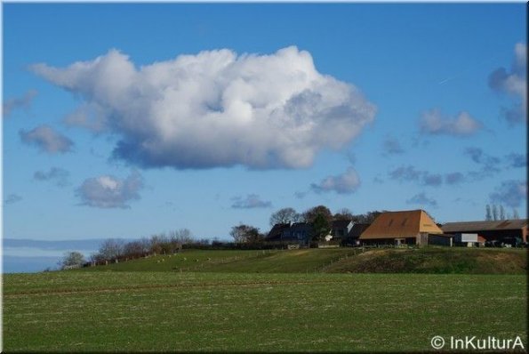 landschafti_023