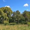 landschaft_132