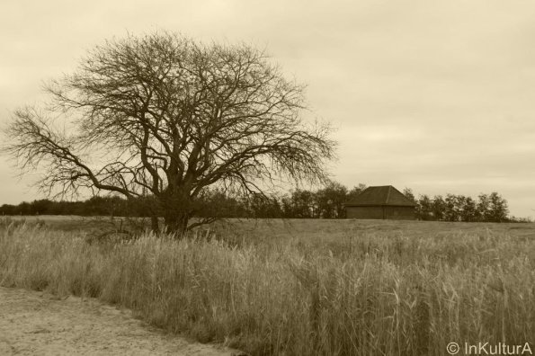 landschaft_011