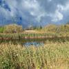landschaft_136