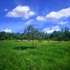 landschaft_130