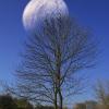 landschaft_138