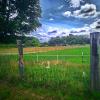 landschaft_128