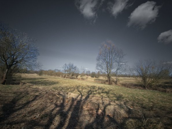 landschaft_171