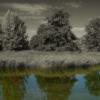 Landschaft
