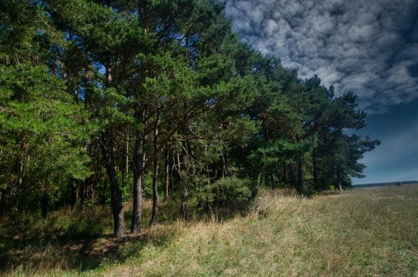 landschaft_198