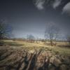 landschaft_171
