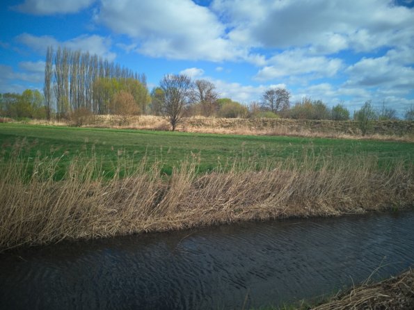 landschaft_174
