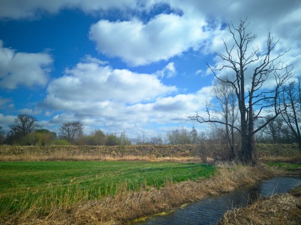 landschaft_172