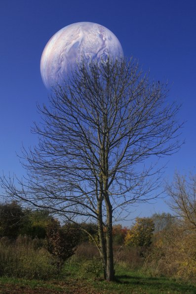 landschaft_138