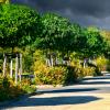 landschaft_135