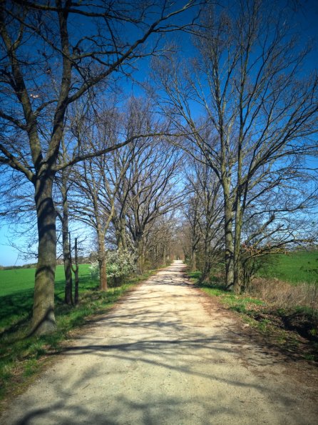 landschaft_175