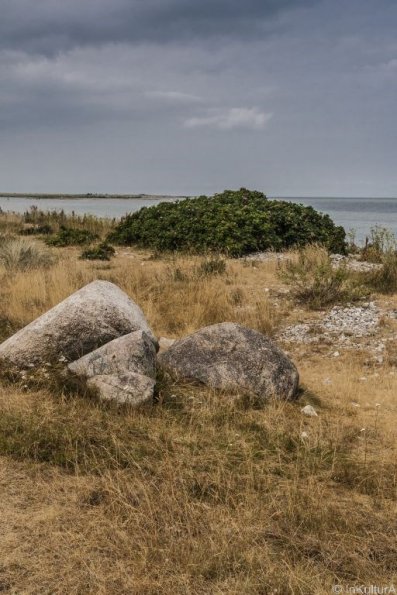 landschaft_071