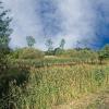 landschaft_137