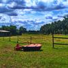 landschaft_129