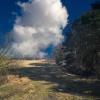 landschaft_170