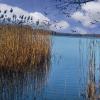 landschaft_141