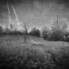 mobiles_006
