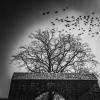 mobiles_023