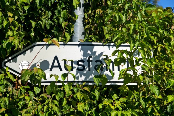 ohne_thema_218