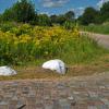 ohne_thema_215
