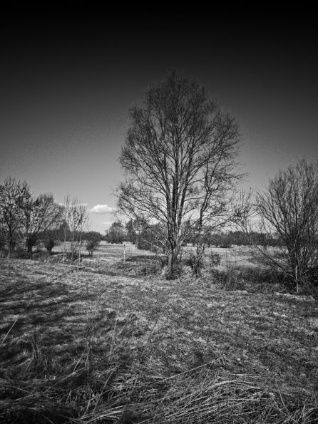 sw_079