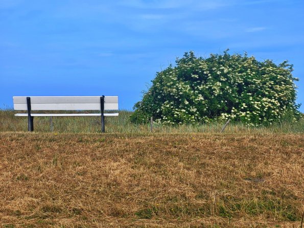 verweilen_109
