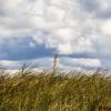 wolke_005